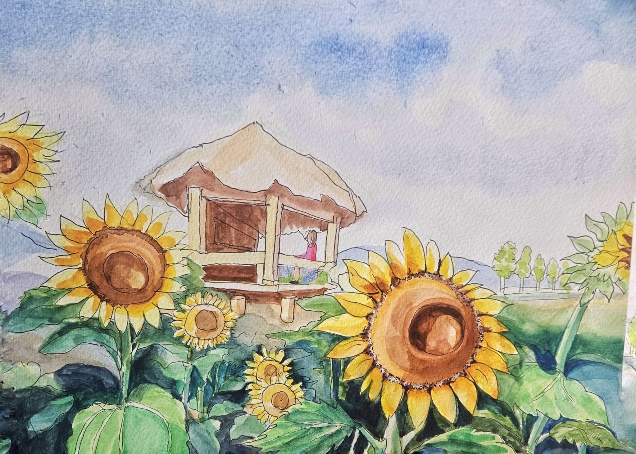 Urban sunflowers