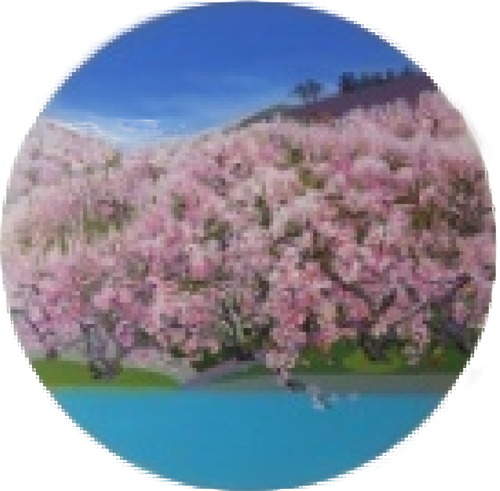봄꽃