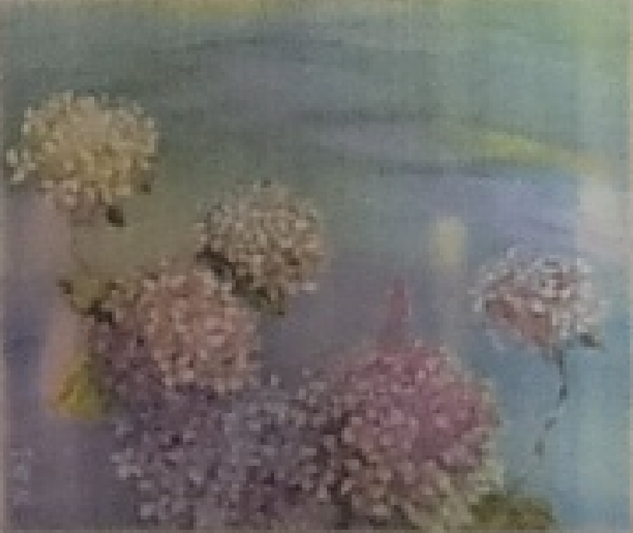 수국동화