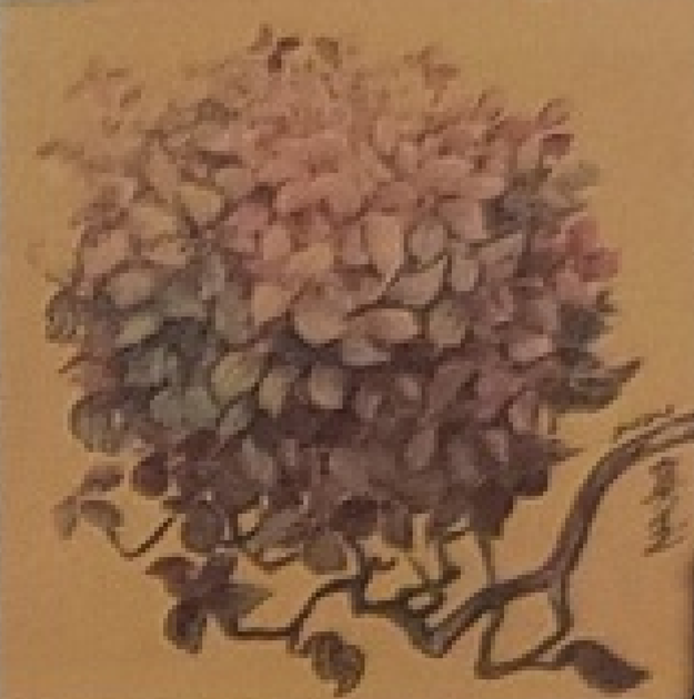 수국사랑 2
