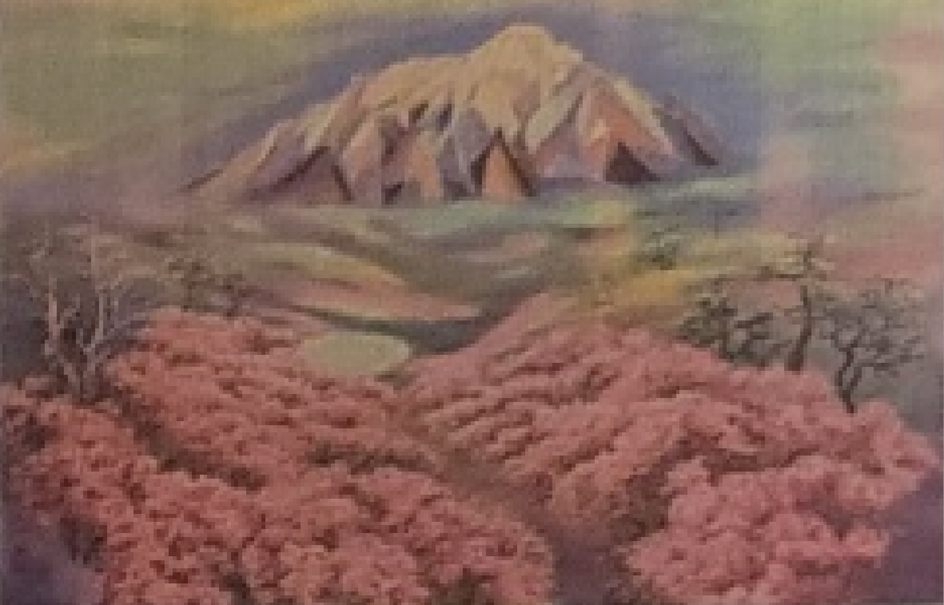 무지개 너머