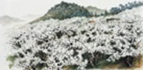 내마음의 梨花雨 Ⅲ