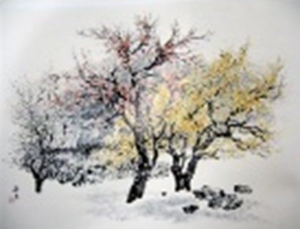 산수유