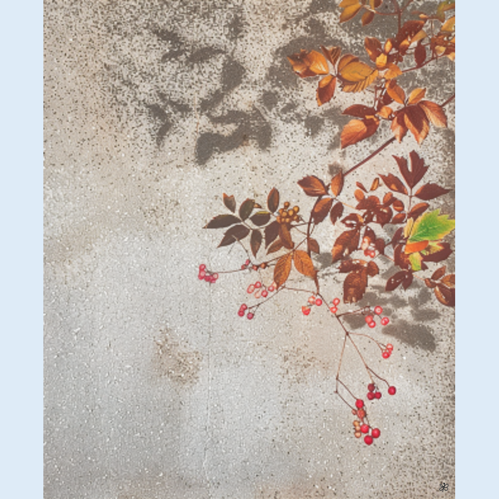 pink berries #9